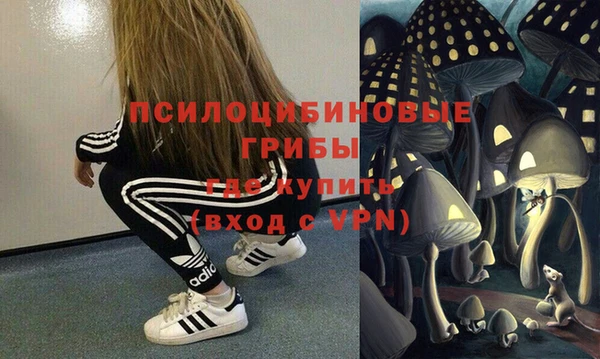 ПСИЛОЦИБИНОВЫЕ ГРИБЫ Балабаново