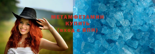 хмурый Аркадак
