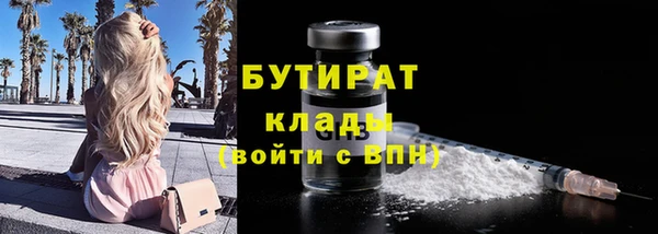 хмурый Аркадак