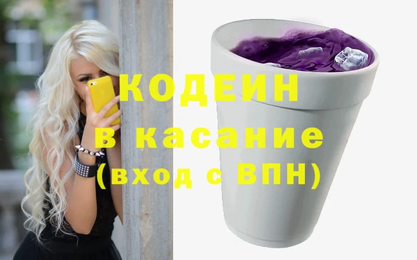 хмурый Аркадак