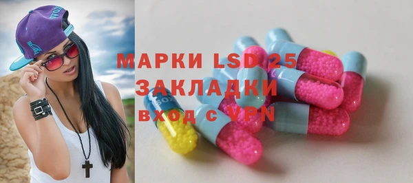 хмурый Аркадак