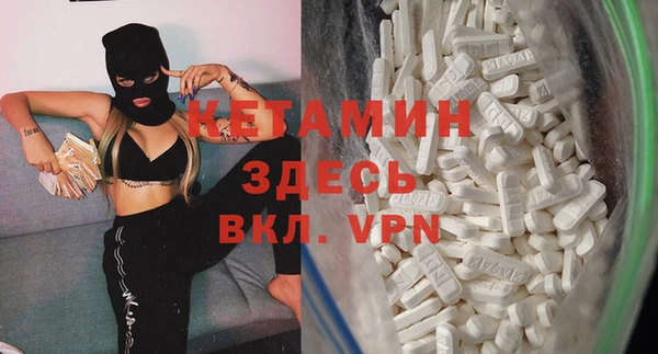 хмурый Аркадак