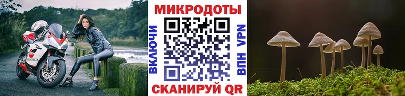 как найти закладки  Волоколамск  Галлюциногенные грибы GOLDEN TEACHER 