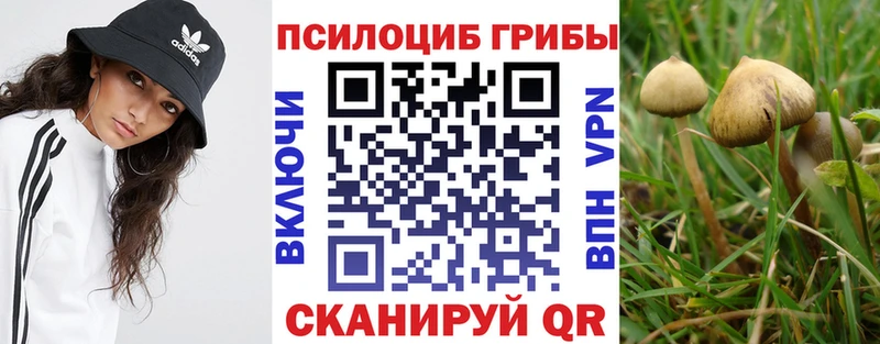 Галлюциногенные грибы MAGIC MUSHROOMS Волоколамск
